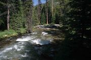 Roaring Fork Creek. Photo by Dave Bell.