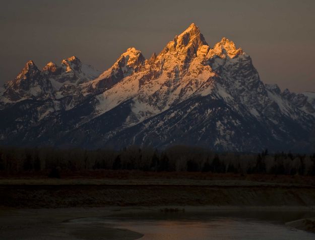 Golden!. Photo by Dave Bell.