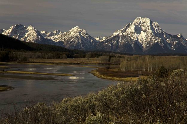 Oxbow Moran. Photo by Dave Bell.