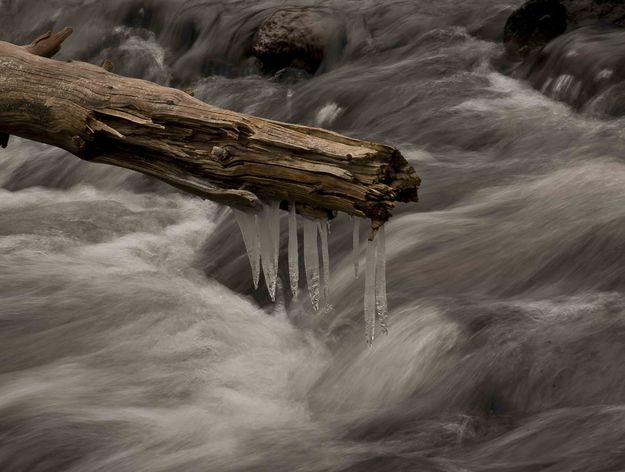 Icicles Over The Gibbon River. Photo by Dave Bell.