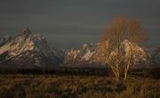 Twilight At Sunrise. Photo by Dave Bell.