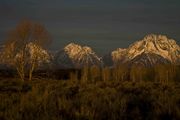 Morning Twilight. Photo by Dave Bell.