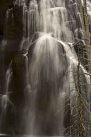 Gibbon Falls. Photo by Dave Bell.