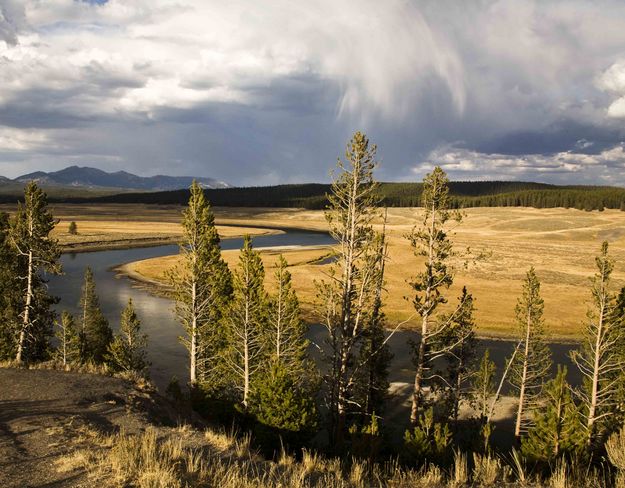 Gorgeous Hayden Valley. Photo by Dave Bell.