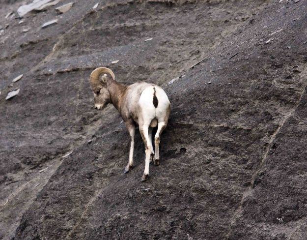 Steep Slope. Photo by Dave Bell.