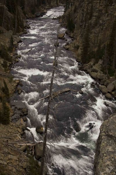 Lewis River. Photo by Dave Bell.