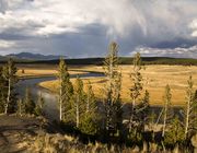 Gorgeous Hayden Valley. Photo by Dave Bell.