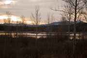 Fall Scene At Oxbow. Photo by Dave Bell.