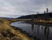 Lamar River. Photo by Dave Bell.