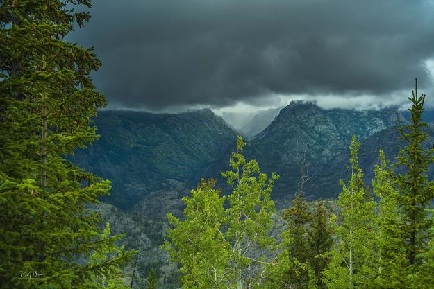 Pine Creek Canyon. Photo by Dave Bell.