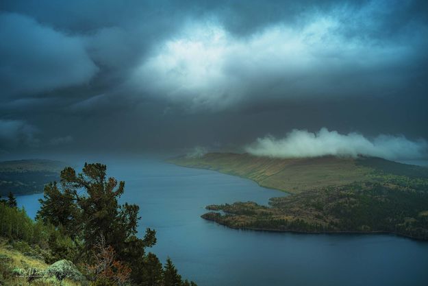 Rolling In. Photo by Dave Bell.