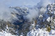 Pine Creek Canyon. Photo by Dave Bell.