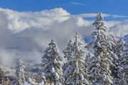 Winter Scene. Photo by Dave Bell.