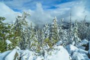 Winter Arrives. Photo by Dave Bell.