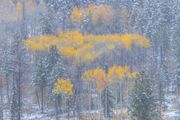 Splash of Color. Photo by Dave Bell.