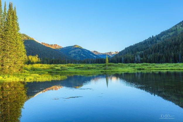 Beautiful Reflecting Pond. Photo by Dave Bell.