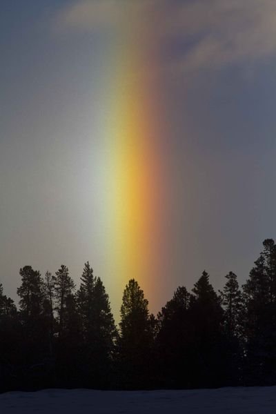 Sundog. Photo by Dave Bell.