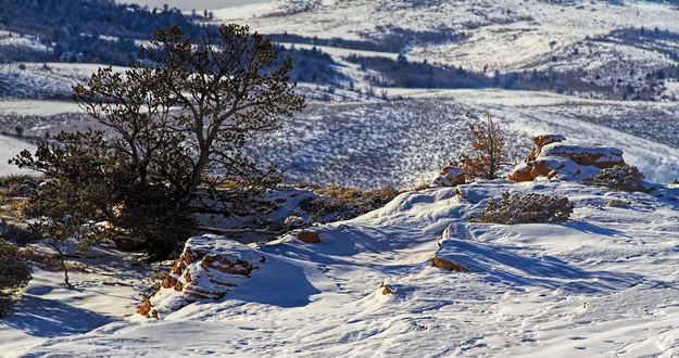 Winter Shadows. Photo by Dave Bell.