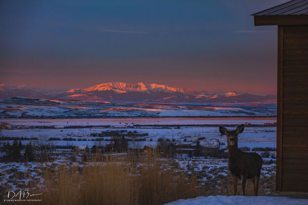 Photo Bombed. Photo by Dave Bell.