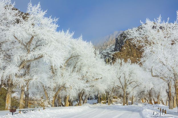 Winter Beauty At Boysen State Park. Photo by Dave Bell.