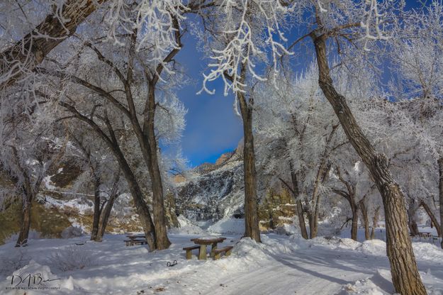 Head Of The Canyon. Photo by Dave Bell.