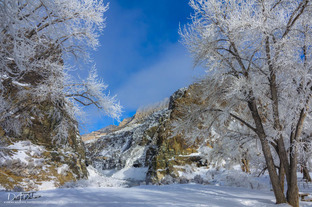 Frosty Canyon. Photo by Dave Bell.