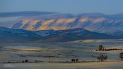 Sawtooth. Photo by Dave Bell.