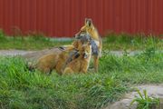 Family Time. Photo by Dave Bell.