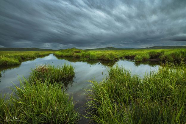 Reflecting Storm Clouds. Photo by Dave Bell.