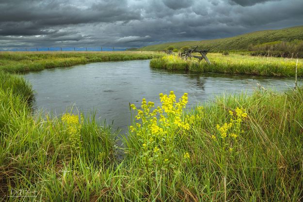 Beautiful Forty Rod Creek. Photo by Dave Bell.