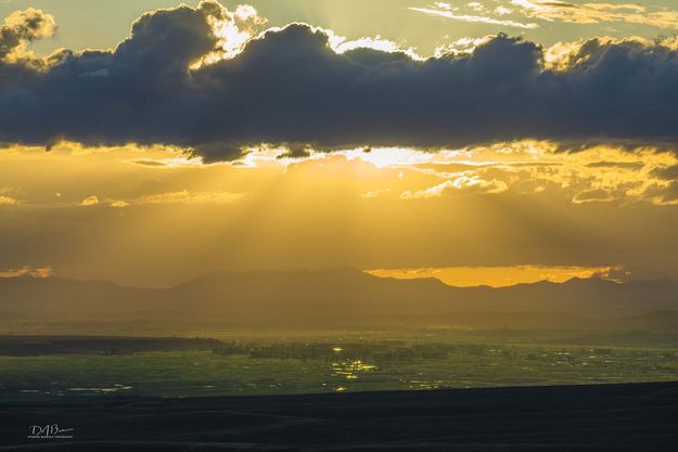 Green Bathed In Yellow. Photo by Dave Bell.