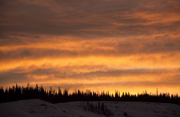 Forest Fire Light. Photo by Dave Bell.