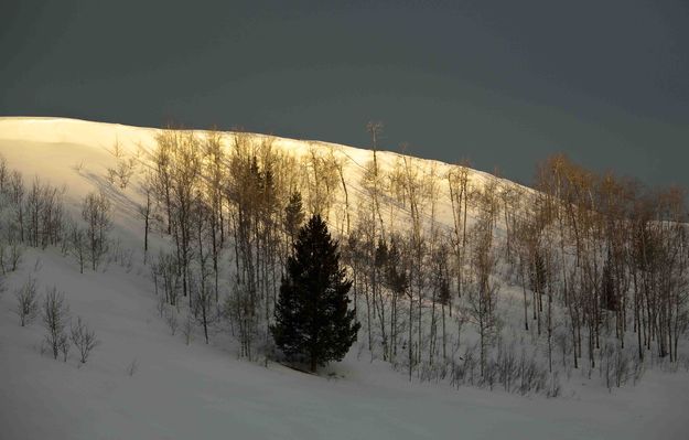 Ridge Light. Photo by Dave Bell.