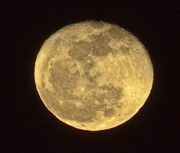 March Moon. Photo by Dave Bell.