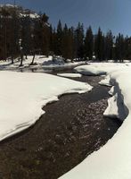 Upper Green River. Photo by Dave Bell.