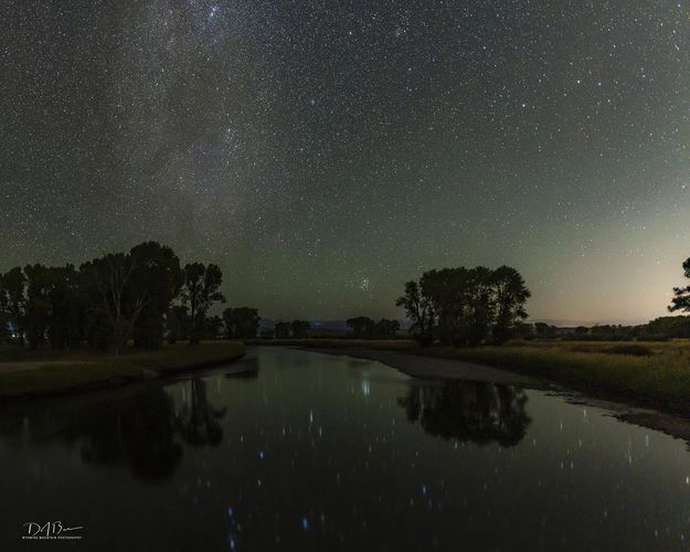 Starry Starry Night. Photo by Dave Bell.