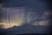 See Thru Rain. Photo by Dave Bell.