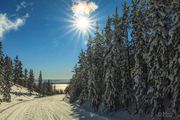 Overlooking Fremont Lake. Photo by Dave Bell.