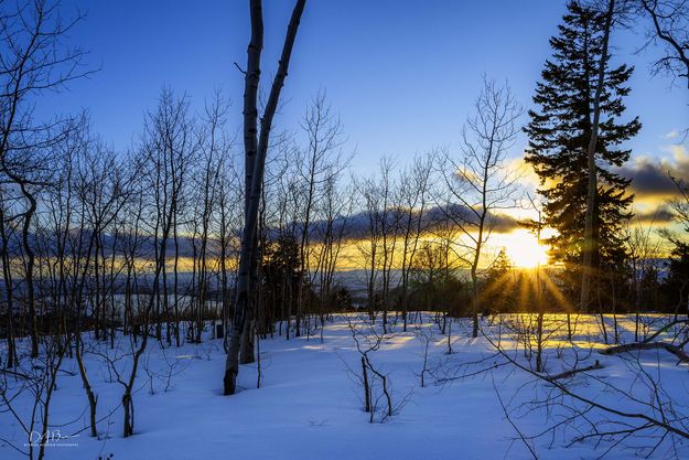 Winter Sunset. Photo by Dave Bell.