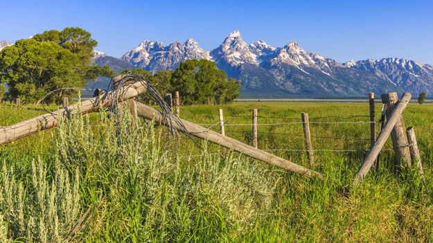 Ranching Is Our Heritage. Photo by Dave Bell.