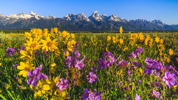 Colorful Morning. Photo by Dave Bell.