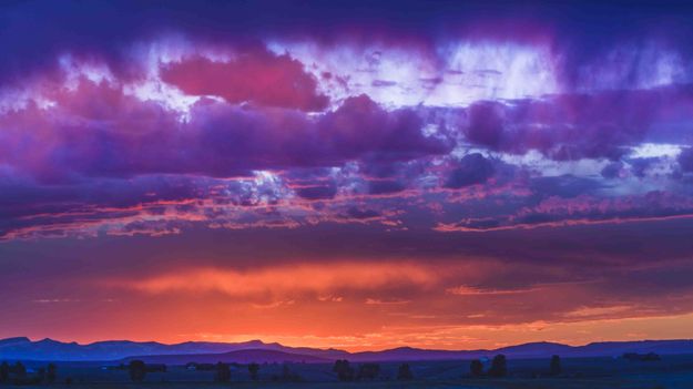 The Color Purple. Photo by Dave Bell.