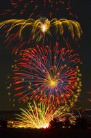 Fireworks Excitement. Photo by Dave Bell.