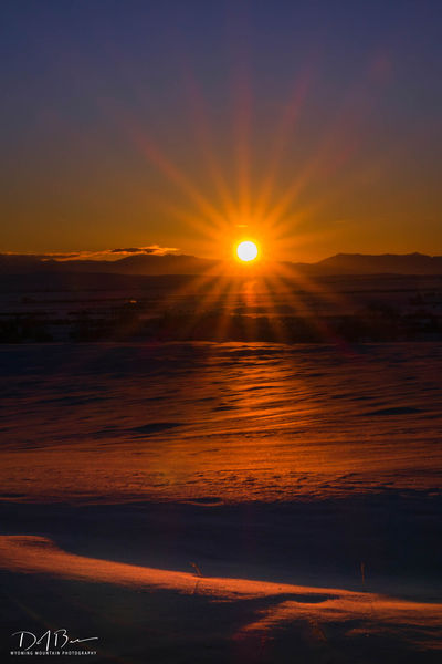 Solar. Photo by Dave Bell.