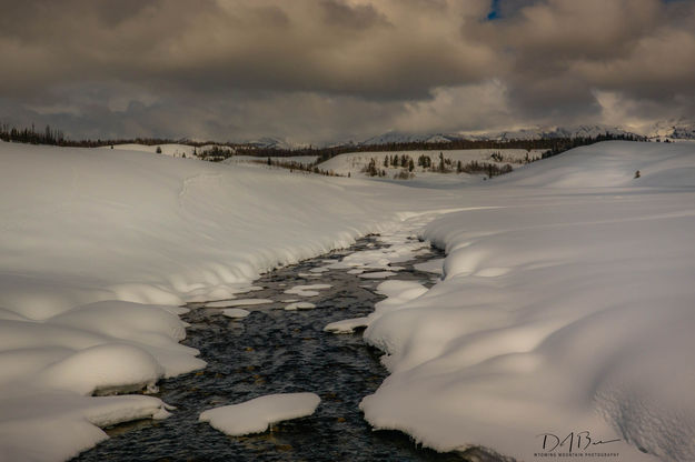 Snowy Dell Creek. Photo by Dave Bell.