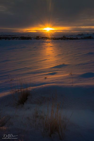 Peeping Sun. Photo by Dave Bell.