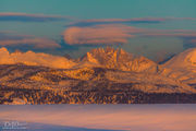 Bonneville. Photo by Dave Bell.