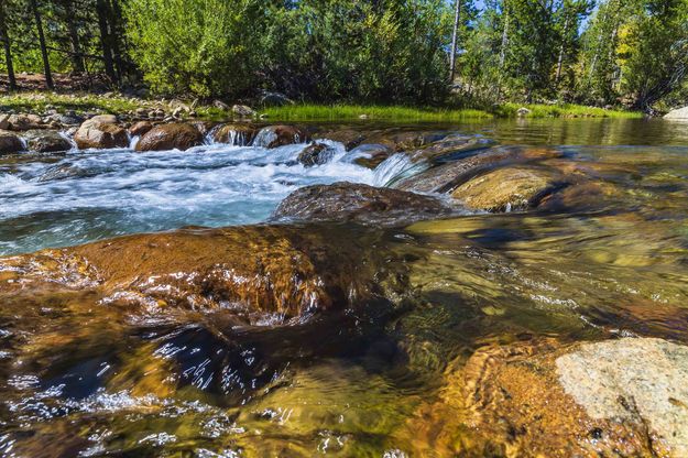 Refreshing. Photo by Dave Bell.