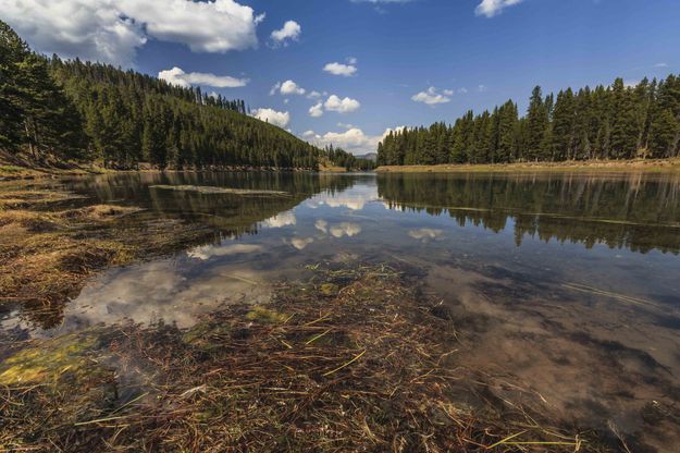 Gently Flowing Yellowstone River. Photo by Dave Bell.