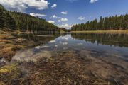 Gently Flowing Yellowstone River. Photo by Dave Bell.